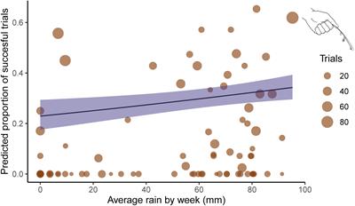 A chimpanzee’s time to feast: seasonality of Macrotermes flight hole activity and alate dispersal flights detected by termite-fishing experiments and camera traps in the Issa Valley, Tanzania